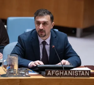 Naseer Ahmad Faiq, UN Security council meeting
