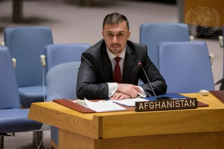 Naseer Faiq Security Council