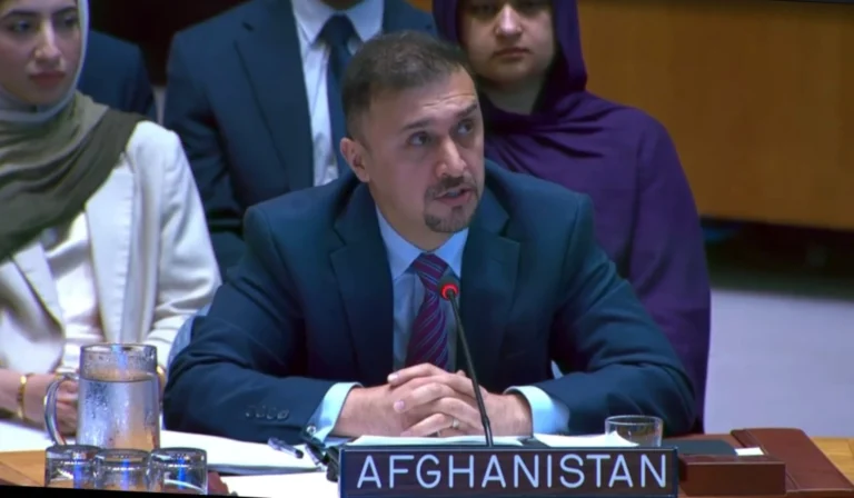 Naseer Faiq - UNSC